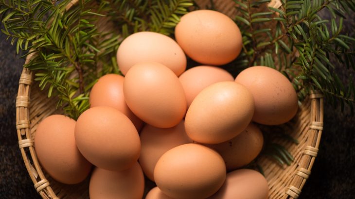鴻池運輸が北インドで鶏卵の安全輸送実証を開始へ