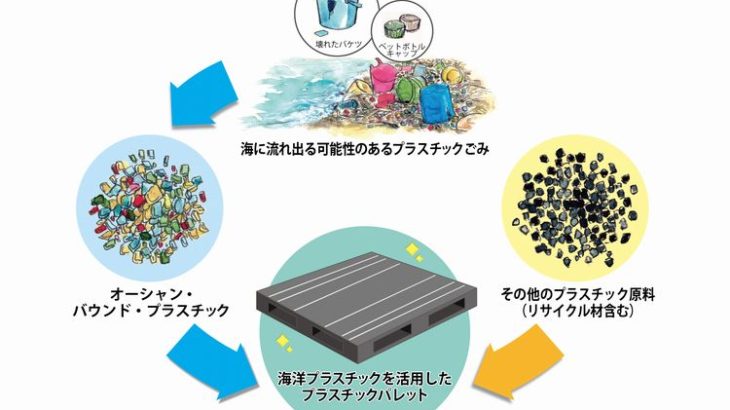 日清食品、海辺に廃棄のプラスチックごみをリサイクルし素材の一部に使ったパレットを国内初導入へ
