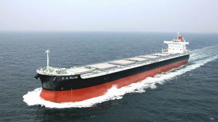 商船三井グループ、バイオ燃料使ったばら積み貨物船の試験航行を実施へ