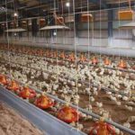 YEデジタルの「飼料残量見える化」ソリューション、宮崎の養鶏関連輸送業者が餌切れによる突発注文ゼロ実現
