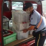 日本郵便、地域内流通を支援する新たな配送サービス「ぽすちょこ便」の提供開始