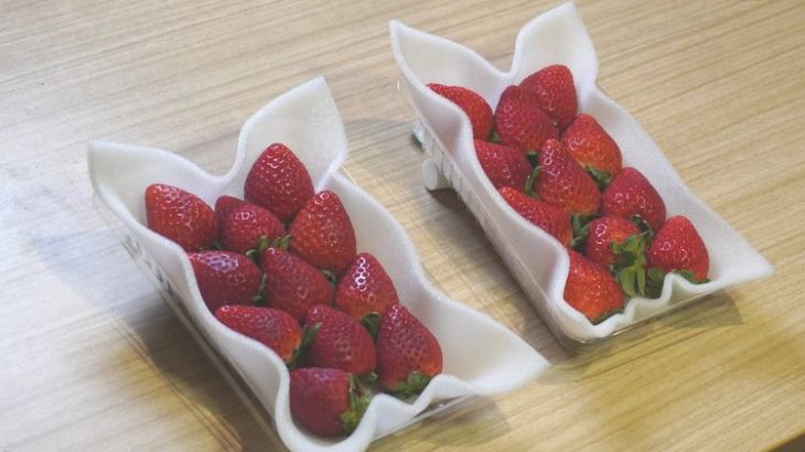 NTT東グループと阪大、果物など地産品の鮮度保持策を生産者らに提案するコンサルサービス開始