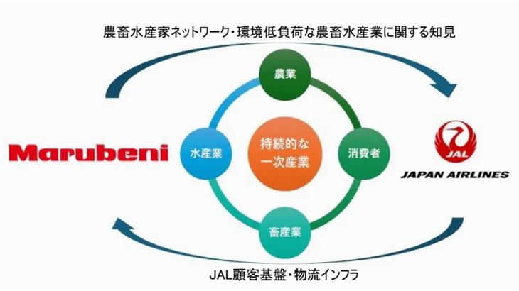 JALと丸紅、持続可能な産直実現へ高速鮮度輸送などで協業