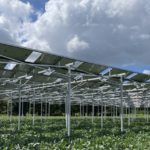 DHLサプライチェーン、農地活用した太陽光発電など生かし神奈川・相模原の物流施設を脱炭素化へ
