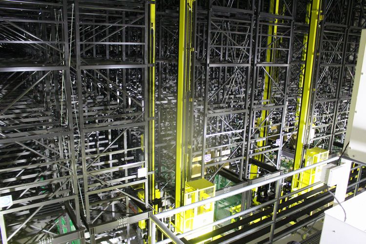 サツキ/大玉/良形株【現品発送】管理70742 サツキ/大玉/良形株【現品発送】管理70742 楽天市場】サツキ 株の通販