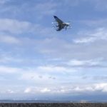 エアロセンス、VTOL型ドローン活用し東京都の島しょ間で物流や災害対策など実施へ