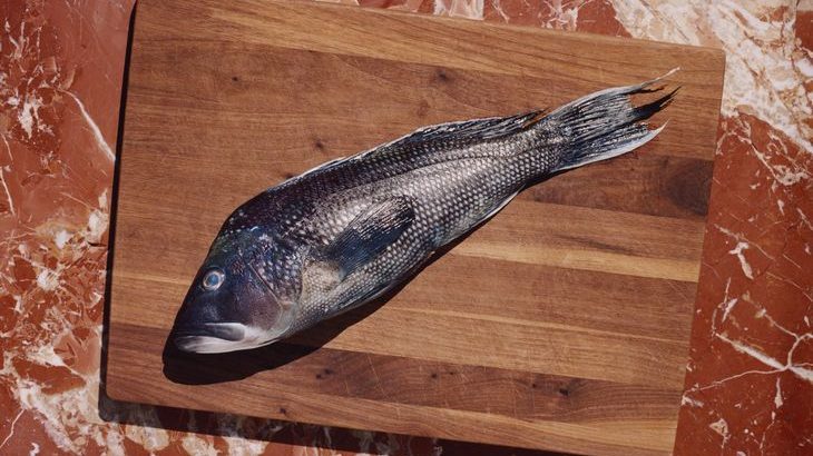 ヤマト系CVC、魚の神経締め自動化技術手掛ける米スタートアップに出資