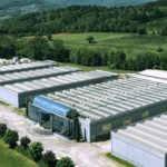 レンゴーグループ、イタリアの重量物包装資材メーカーを買収