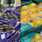 センコーGHD、シンガポールで青果物の輸入・卸売手掛けるトータル・フレッシュを買収