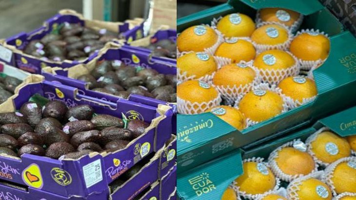 センコーGHD、シンガポールで青果物の輸入・卸売手掛けるトータル・フレッシュを買収