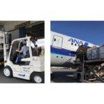 ANAとナッシュ、国内旅客定期便の昼間帯空きスペース活用で冷凍宅配食の送料値下げ実現