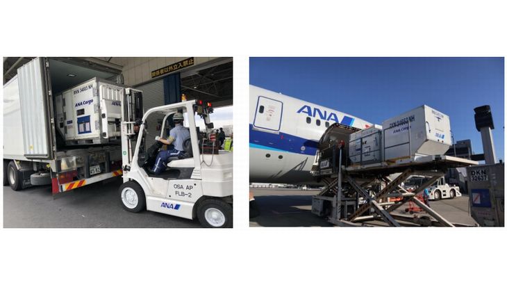 ANAとナッシュ、国内旅客定期便の昼間帯空きスペース活用で冷凍宅配食の送料値下げ実現