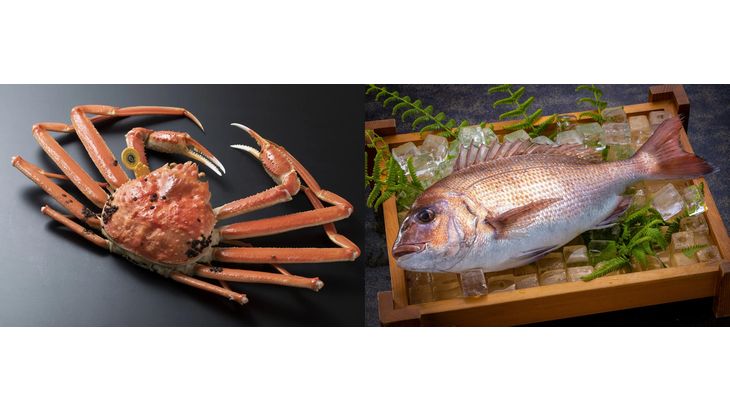 JR東とJAL、新幹線＋航空機の海外輸送サービスを26年1月開始へ