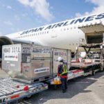 農研機構とJALグループが持続可能な食農産業実現へ包括連携、第1弾はいちご新ブランドの開発・輸出目指す