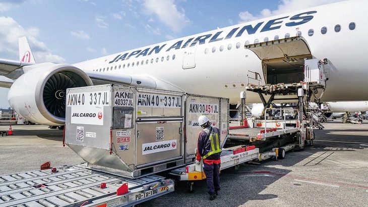 農研機構とJALグループが持続可能な食農産業実現へ包括連携、第1弾はいちご新ブランドの開発・輸出目指す