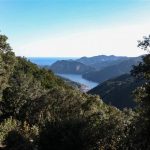 転勤を、企業の「環境貢献」へ法人向け「エシカル引越for Business」をリリース