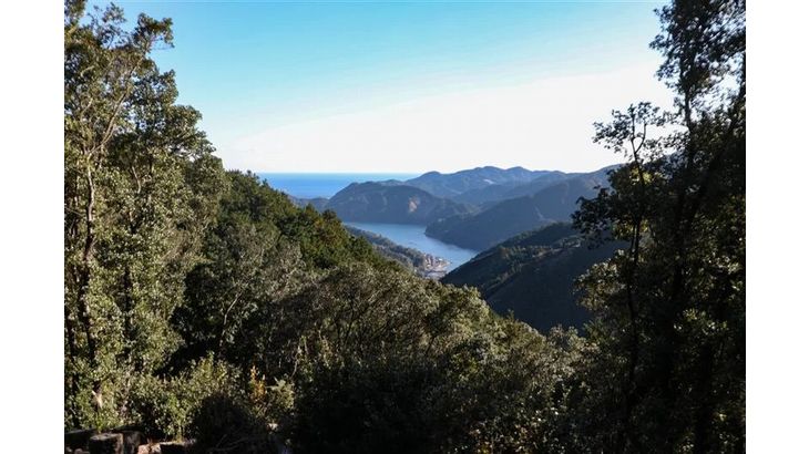 転勤を、企業の「環境貢献」へ法人向け「エシカル引越for Business」をリリース