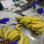 らでぃっしゅぼーや、一部商品の梱包資材をプラから紙に変更