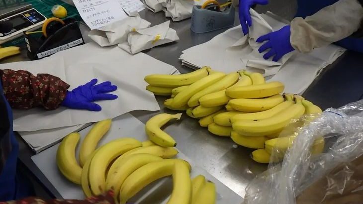 らでぃっしゅぼーや、一部商品の梱包資材をプラから紙に変更