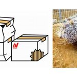 ニチレイフーズと千葉市、動物公園で冷凍物流網活用したフードロス削減の取り組み開始