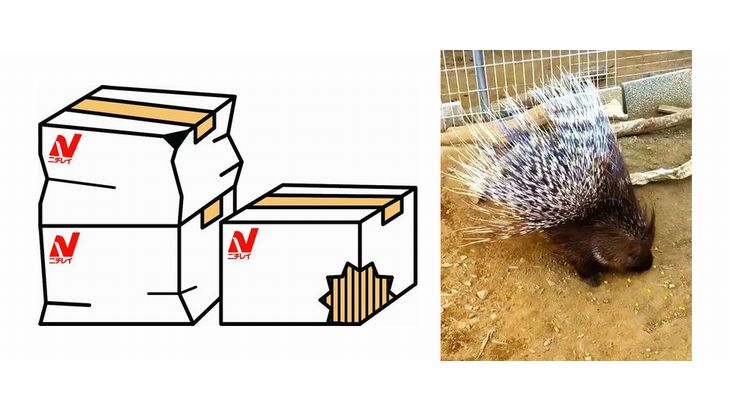 ニチレイフーズと千葉市、動物公園で冷凍物流網活用したフードロス削減の取り組み開始