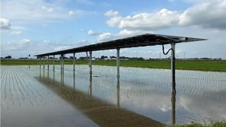 野村不動産、埼玉・川島町で「営農型太陽光発電」の実証実験開始