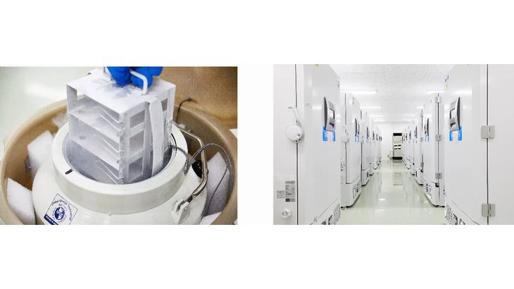 NXワンビシアーカイブズ、埼玉・小川町のセンターで再生医療等製品製造業（包装・表示・保管）の許可取得